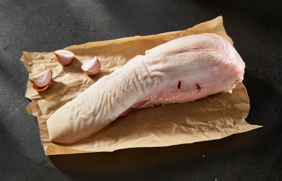 LENGUA